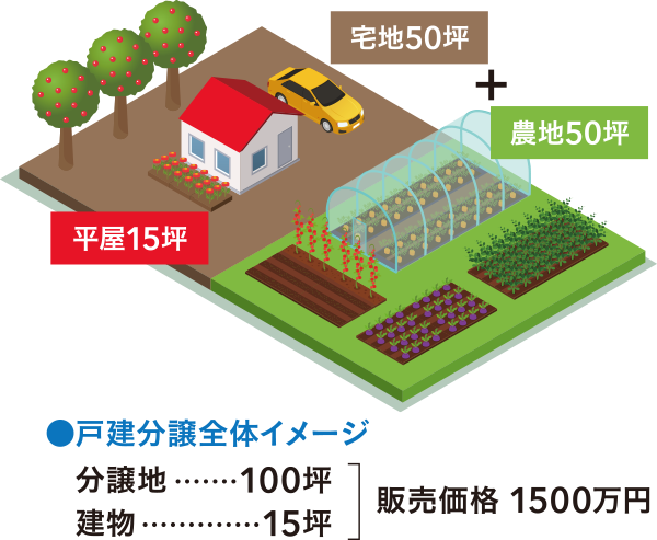 戸建分譲全体イメージ　分譲地100坪　建物15坪　販売価格1,500万円