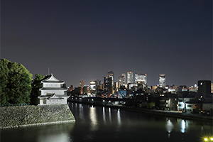 名古屋城の見える名城公園夜景
