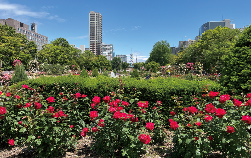 大通公園