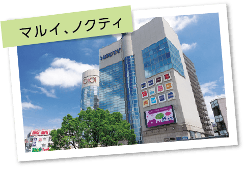マルイノクティ
