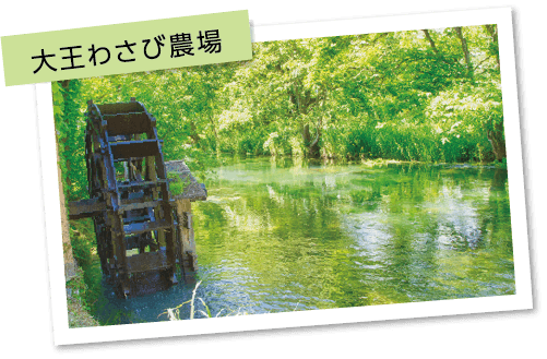 大王わさび農場