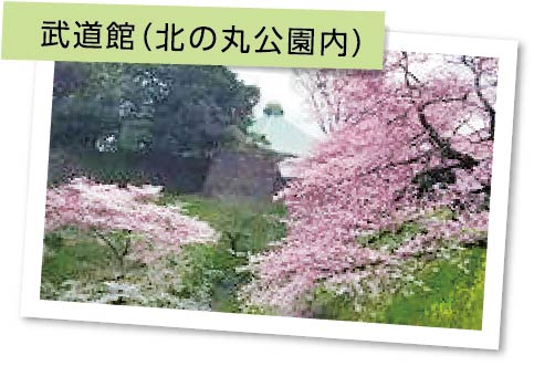 武道館( 北の丸公園内)