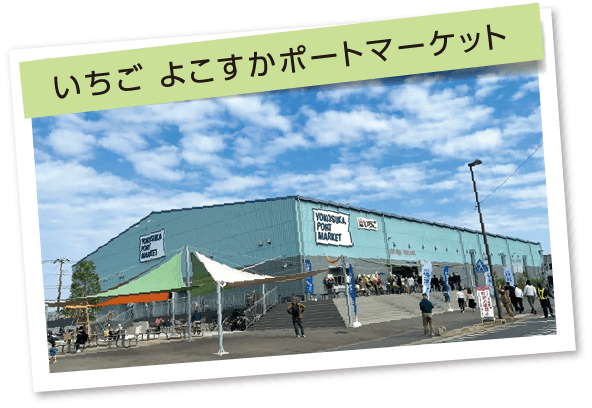 いちご よこすかポートマーケット