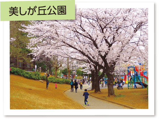美しが丘公園