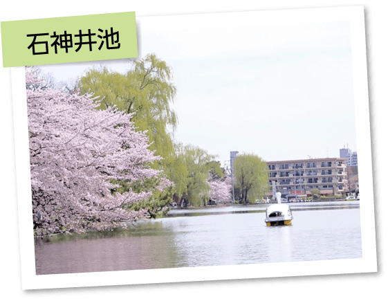 石神井池