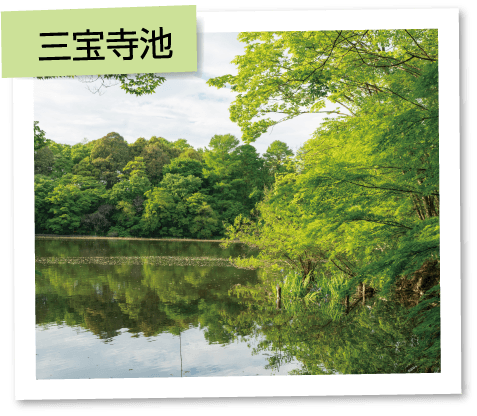 三宝寺池