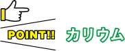カリウム