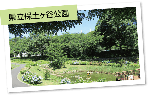 県立保土ヶ谷公園
