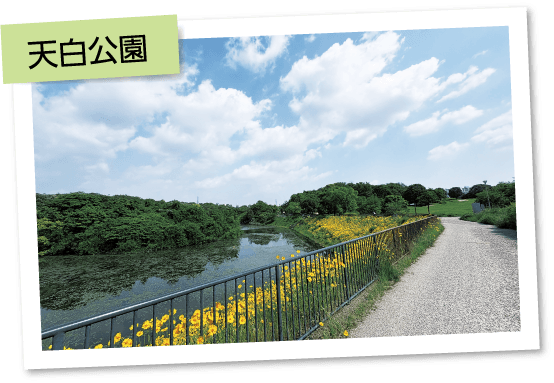 天白公園