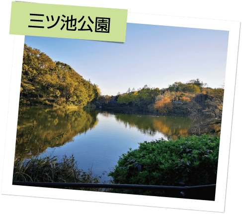 三ツ池公園