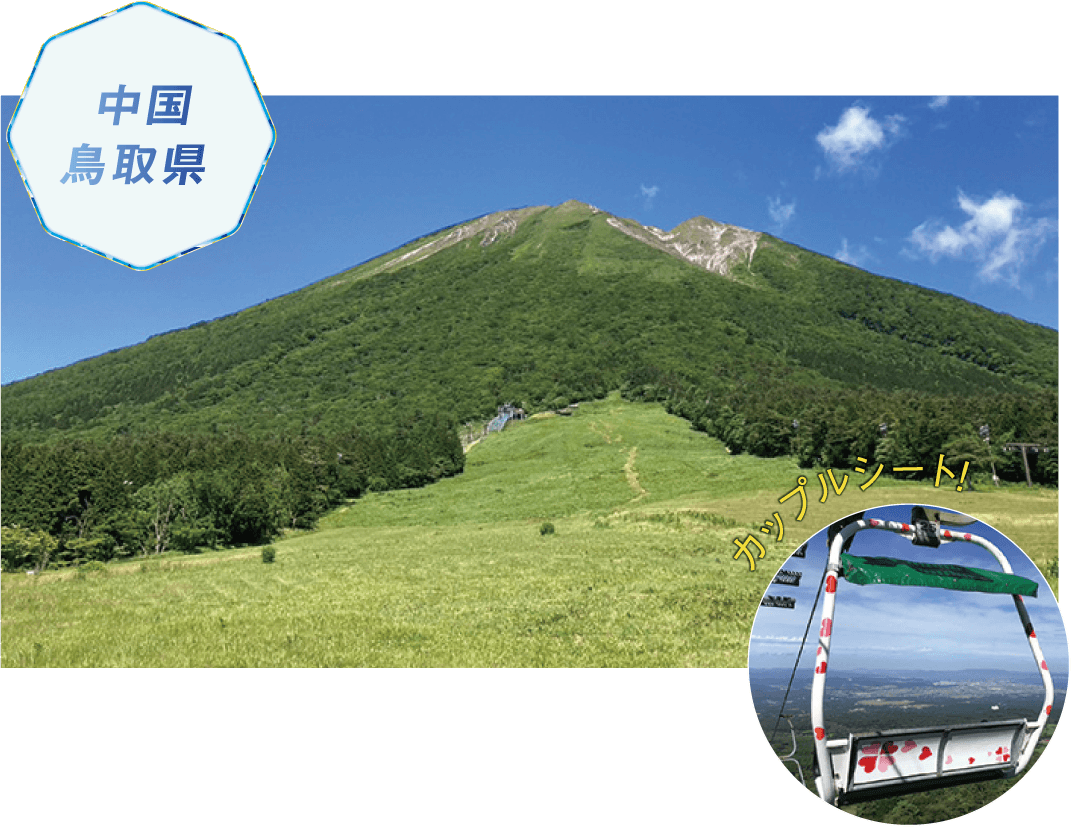 中国 鳥取県 カップルシート