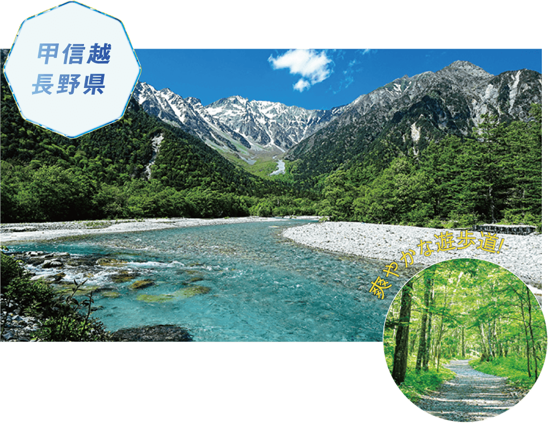 甲信越 長野県 爽やかな遊歩道
