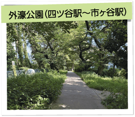 外濠公園(四ツ谷駅~市ヶ谷駅)