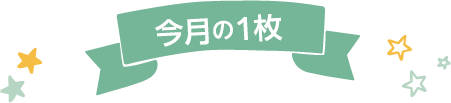 今月の1枚