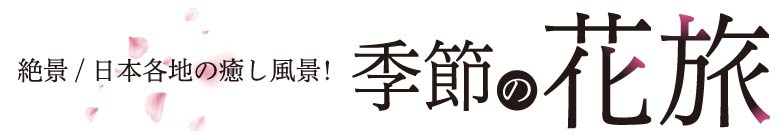 絶景／日本各地の癒し風景！季節の花旅