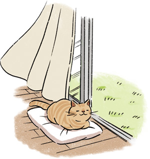 002 猫 ともっと楽しむ おうち時間を楽しもう Pleasure At Home Zen Club