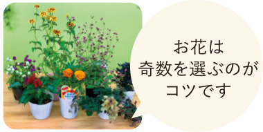 お花は奇数を選ぶのがコツです
