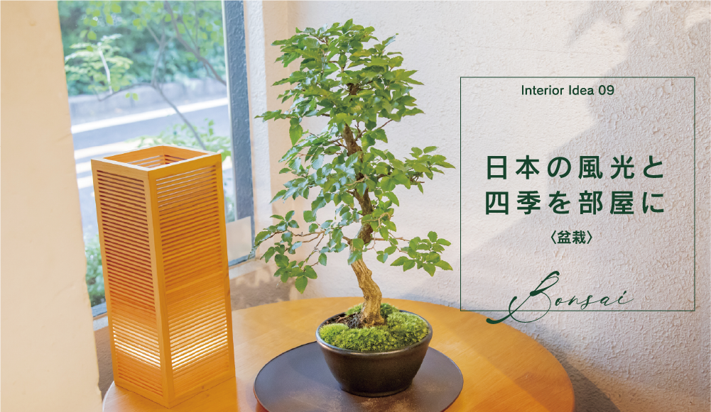 インテリアアイディア：〈盆栽〉09  日本の風光と四季を部屋に