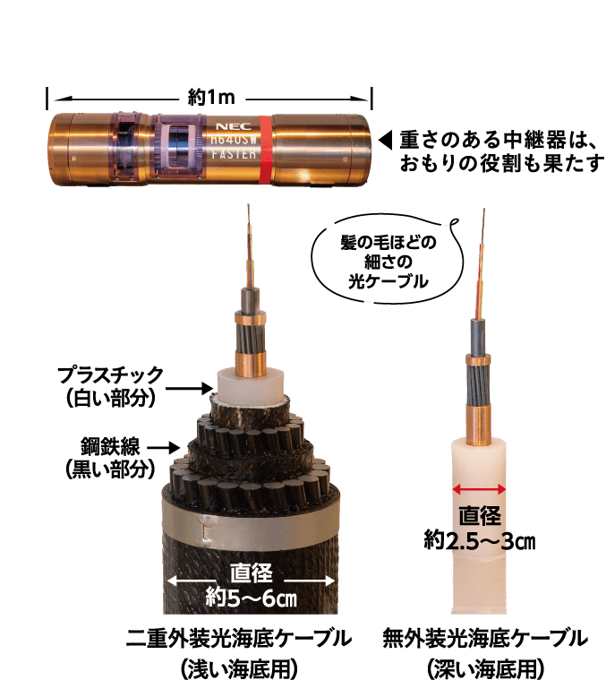 重さのある中継器は、おもりの役割も果たす　プラスチック（白い部分）鋼鉄線（黒い部分）　髪の毛ほどの細さの光ケーブル　二重外装光海底ケーブル（浅い海底用）