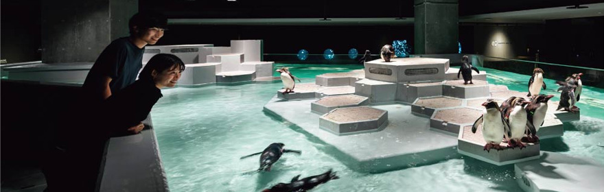 札幌の水族館「AOAO　SAPPORO」を100倍楽しむ方法！　